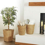 Canastos Decorativos - Juego Canasto con Argolla 3 Piezas Mimbre con Palma Café | CREATA Muebles