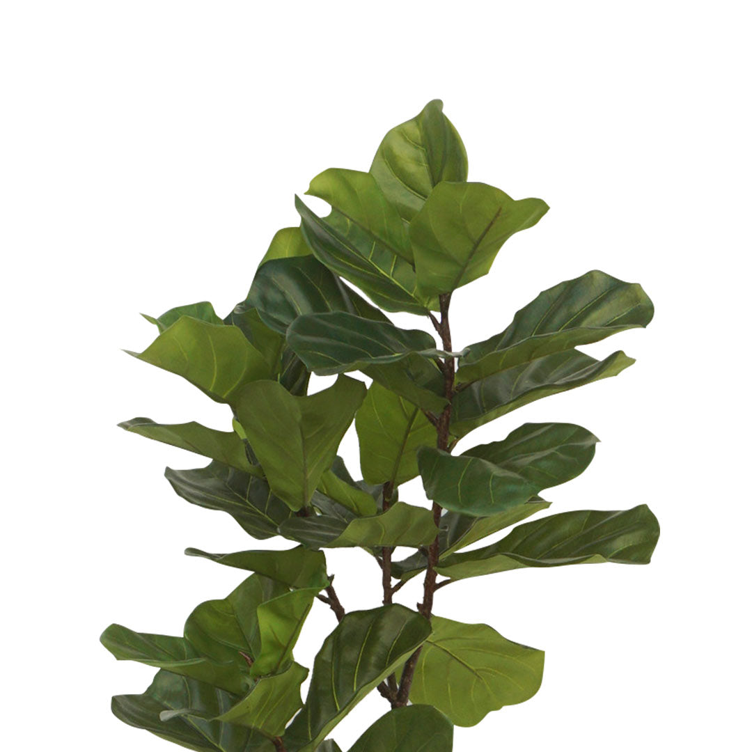 Plantas Artificiales - Árbol Ficus - Detalle | CREATA Muebles