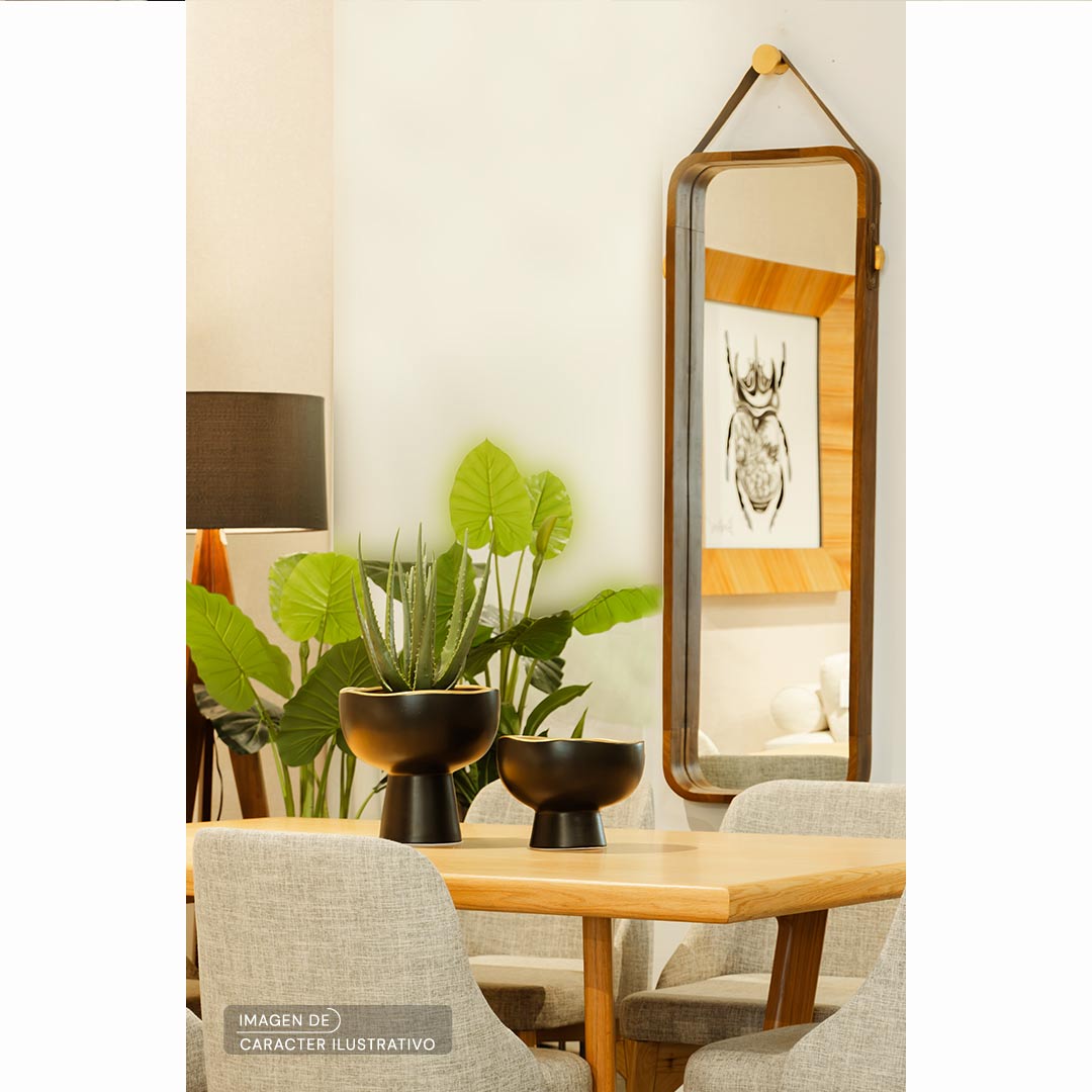 Macetas de Interior- Base Gold Grande - Set ilustrativo | CREATA Muebles