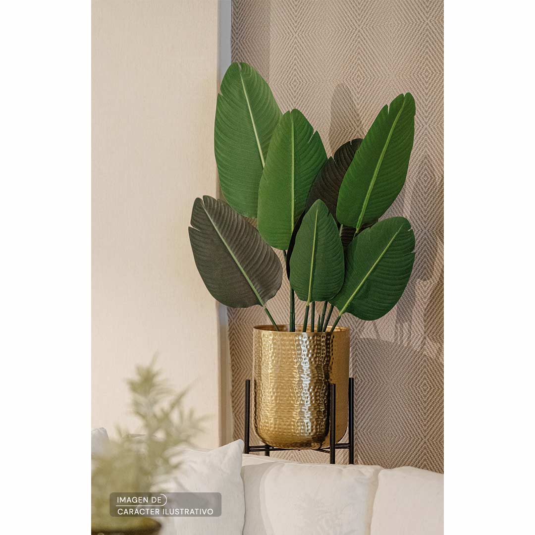 Macetas Decorativas para Sala - Maceta Akumal Chica en Set Ilustrativa | CREATA Muebles