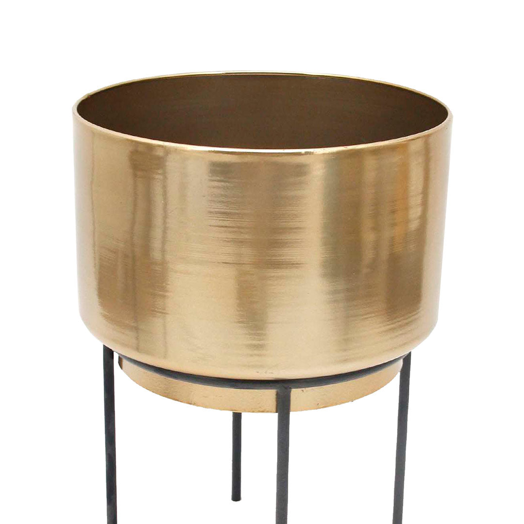 Macetas para interiores - Base Malibú Mediana - Detalle Superior | CREATA Muebles