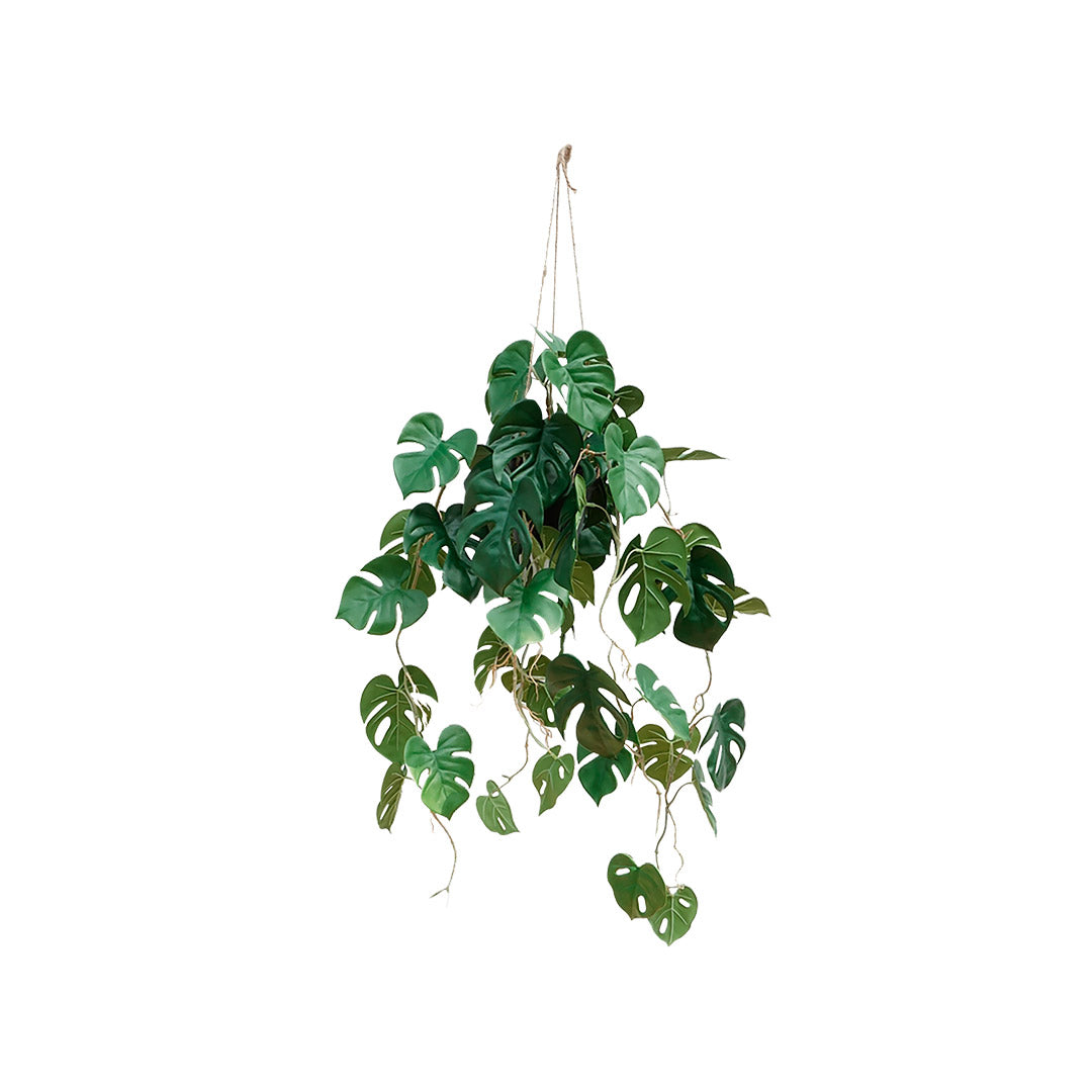 Macetas para pared decorativas - Monstera Colgante | CREATA Muebles