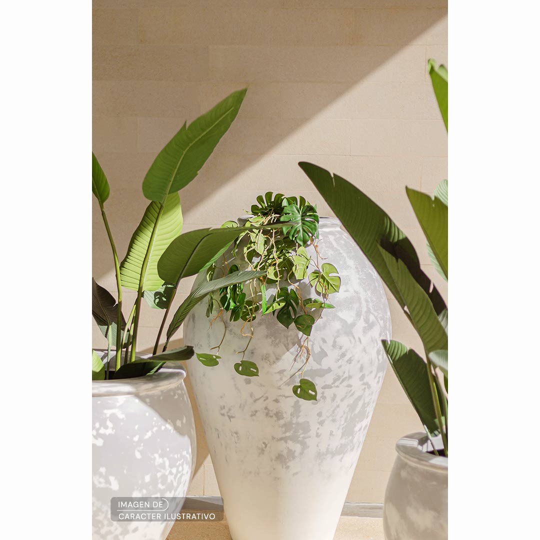 Macetas para pared decorativas - Monstera Colgante Set Ilustrativo| CREATA Muebles