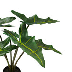 Planta de Plástico Decoración - Planta Alocasia - Detalle | CREATA Muebles