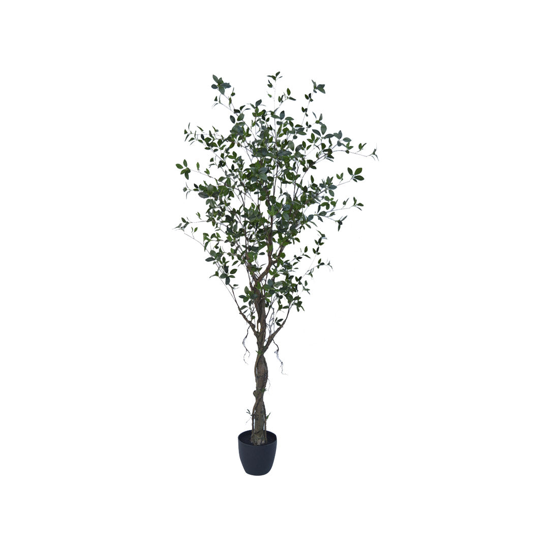 Plantas Artificiales - Árbol Ficus | CREATA Muebles