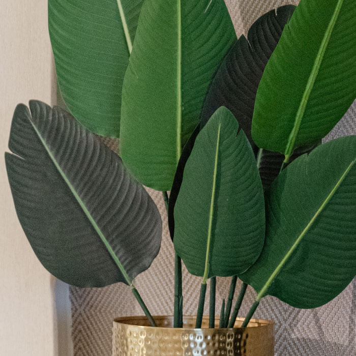 plantas artificiales - plantas de plastico - plantas de interior | CREATA Muebles