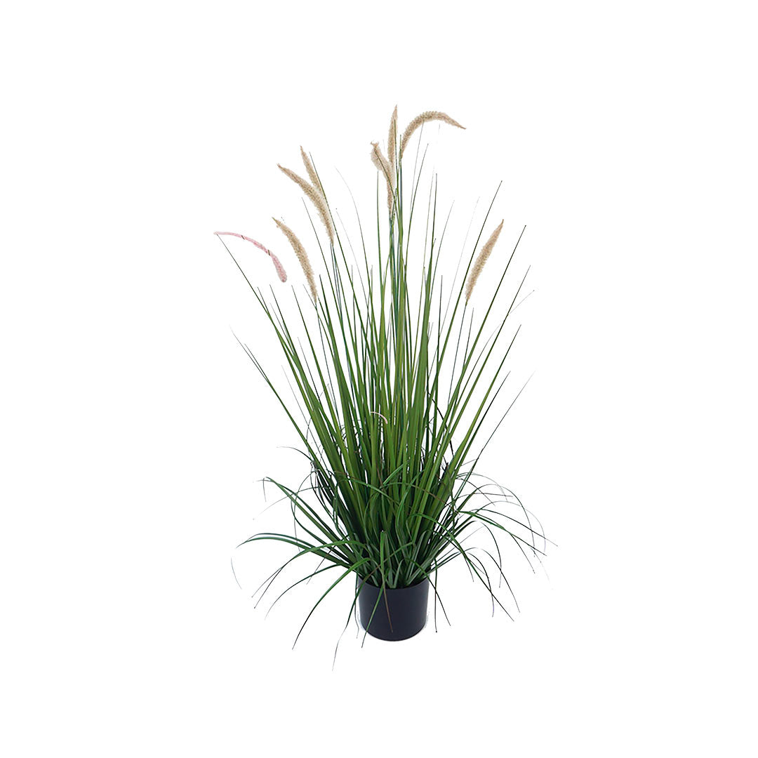 Plantas Artificiales - Setaria Chica | CREATA Muebles