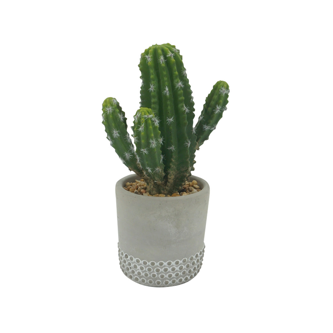 Planta de plastico decoración - Planta Cactus Naia | CREATA Muebles
