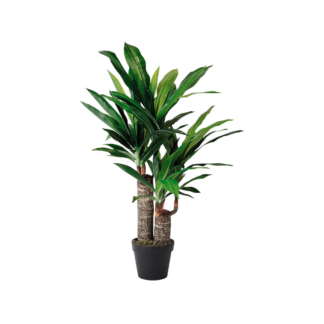 Plantas de Plástico Decoración - Planta Palo de Brasil | CREATA Muebles