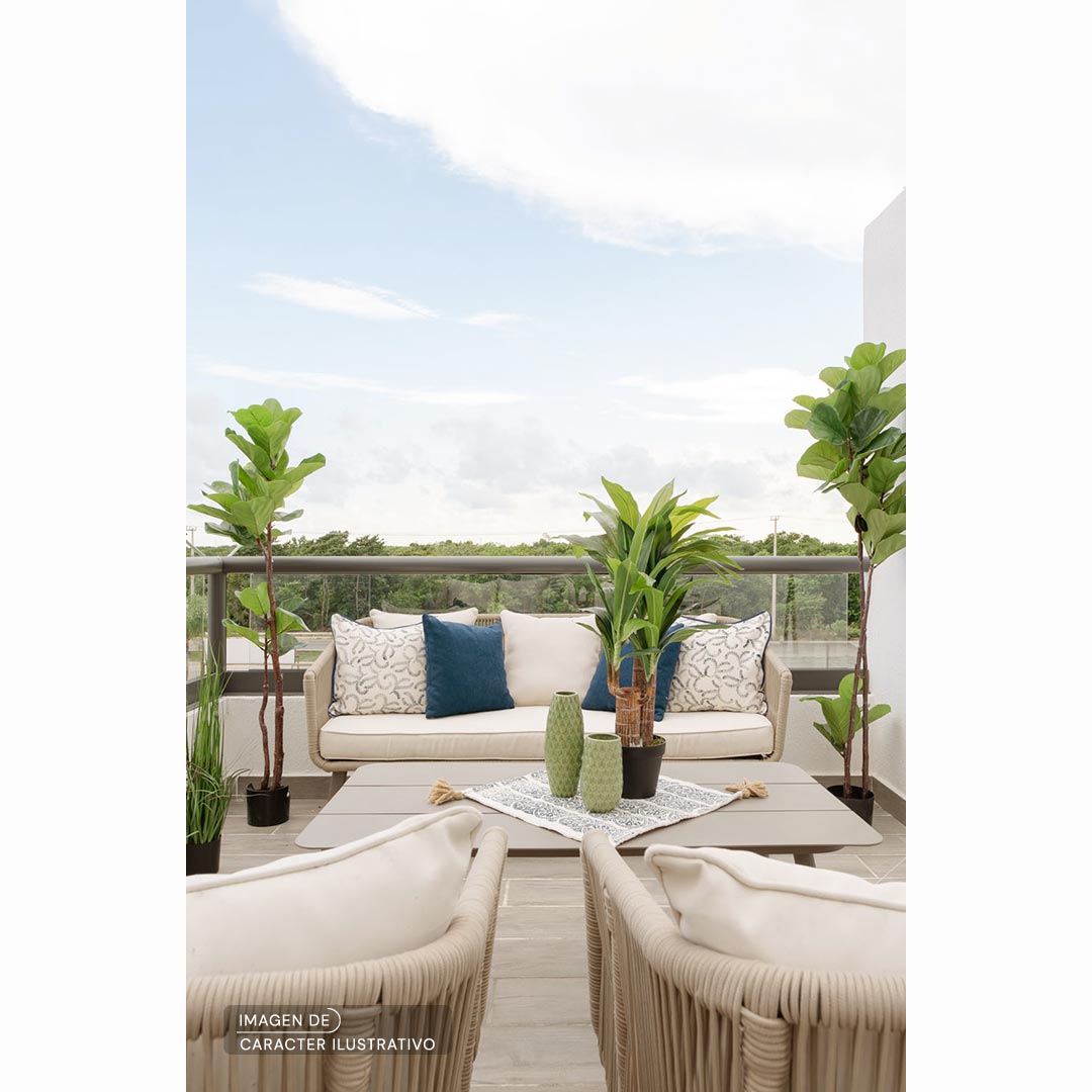 Plantas de Plástico Decoración - Planta Palo de Brasil - Set Ilustrativo | CREATA Muebles