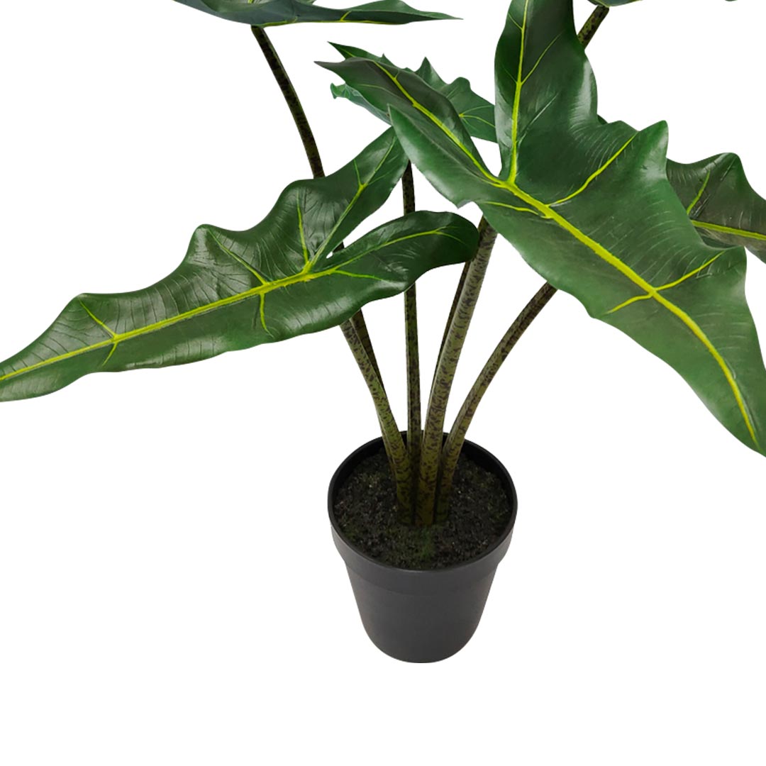 Planta de Plástico Decoración - Planta Alocasia | CREATA Muebles