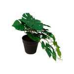 Plantas artificiales - Planta Monstera Chica | CREATA Muebles